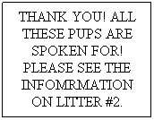 Text Box: THANK YOU! ALL THESE PUPS ARE SPOKEN FOR! PLEASE SEE THE INFOMRMATION ON LITTER #2.

